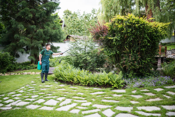 Best Mosquito Control Services  in Cross Plains, WI