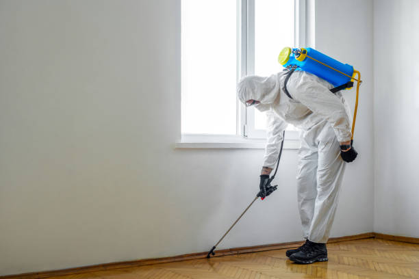 Best Flea Control Services  in Cross Plains, WI
