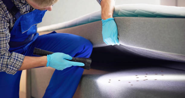 Best Best Pest Control Companies  in Cross Plains, WI
