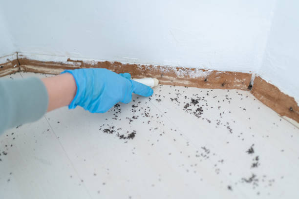 Best Affordable Pest Control Services  in Cross Plains, WI