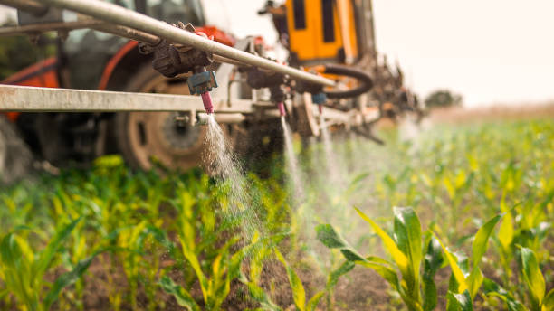 Best Pest Prevention Services  in Cross Plains, WI
